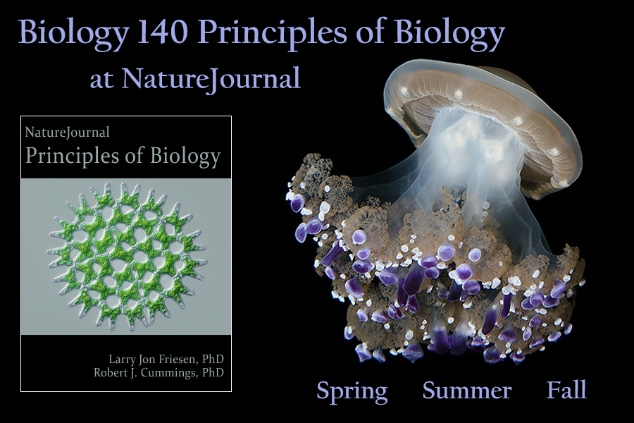  Principles of Biology 
